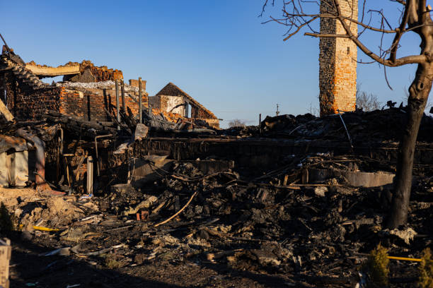 Reliable Fire Damage Restoration contractor in Wimauma, FL by Fire Damage Doption