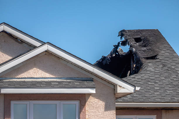 Top rated local Fire Damage Restoration specialists in Wimauma, FL